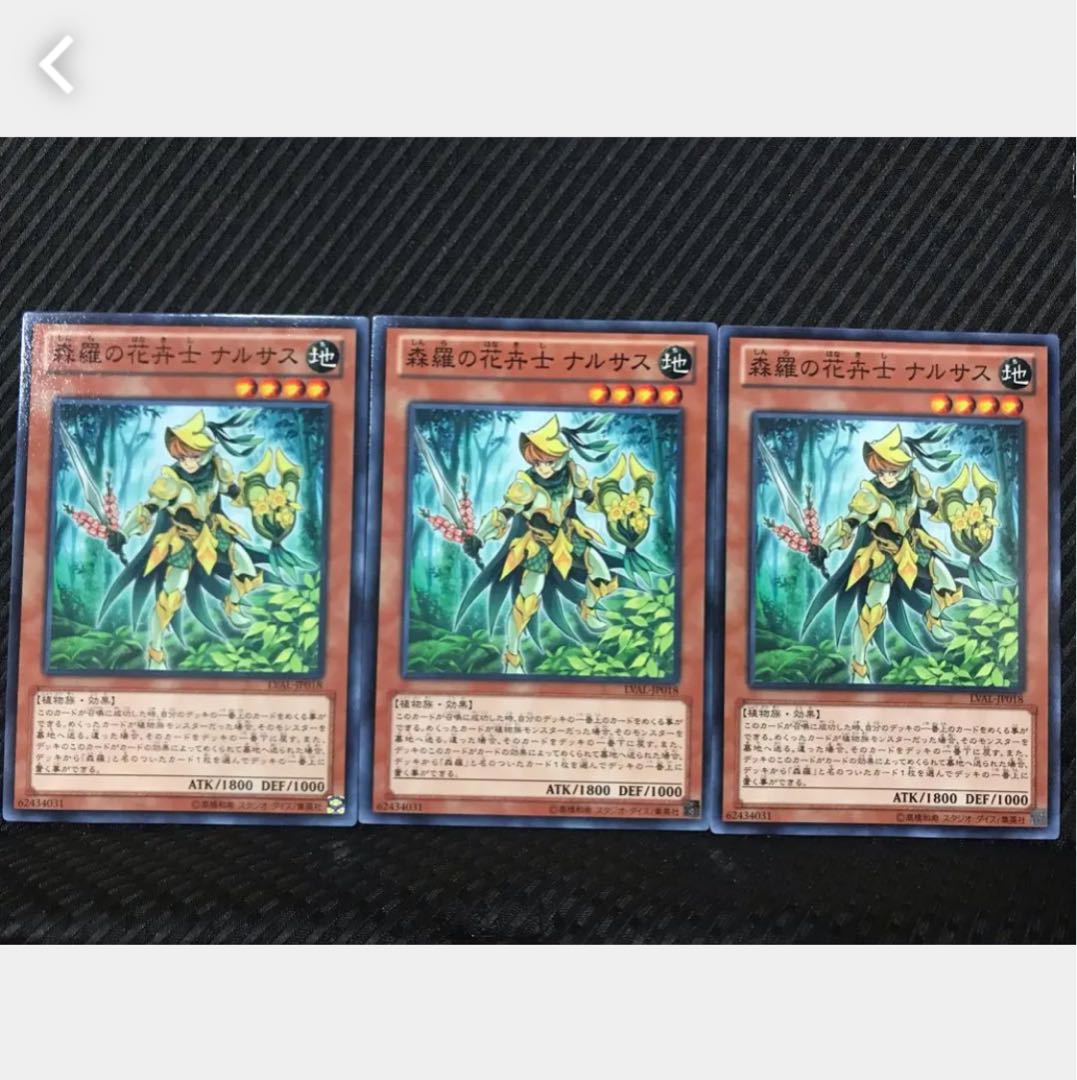Popotan] Yu-Gi-Oh! 15 Sylvan Flowerknight 3 normal