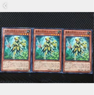 Popotan] Yu-Gi-Oh! 15 Sylvan Flowerknight 3 normal