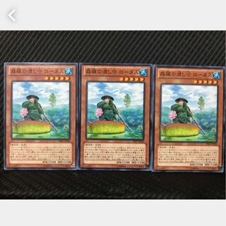 【ぽぽたん】遊戯王 37 森羅の渡し守 ロータス 3枚 ノーマル