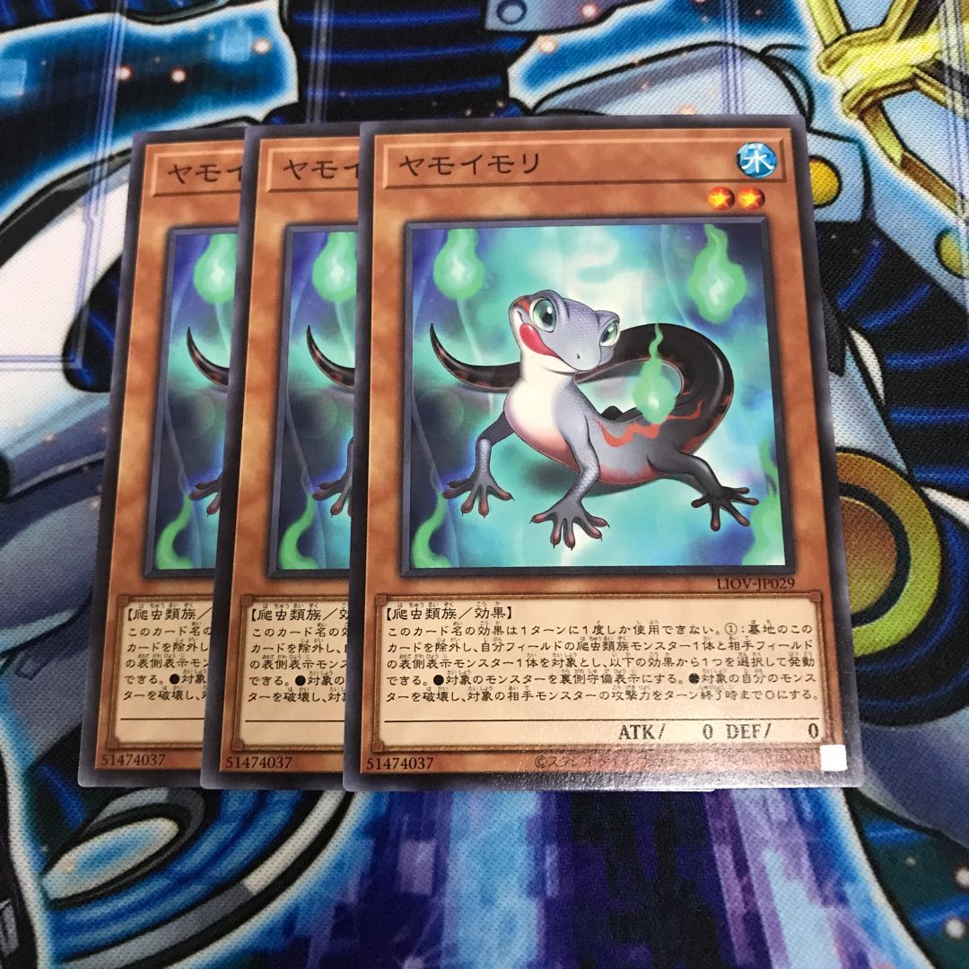 ヤモイモリ ノーマル Hulu 963