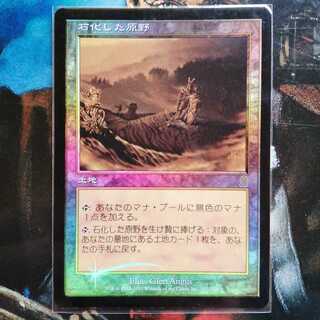 Foil 石化した原野 ODY 日本語