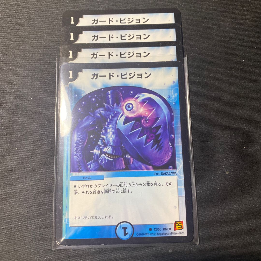 ガードビジョン