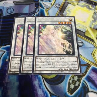 ガーデン・ローズ・フローラ レア　Hulu 971