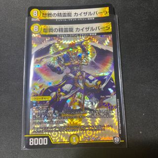 歴戦の精霊龍　カイザルバーラ