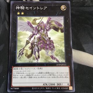 Sky Cavalry Centaurea