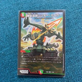 爆裂遺跡シシオー・カイザー ぽくたまたま2枚