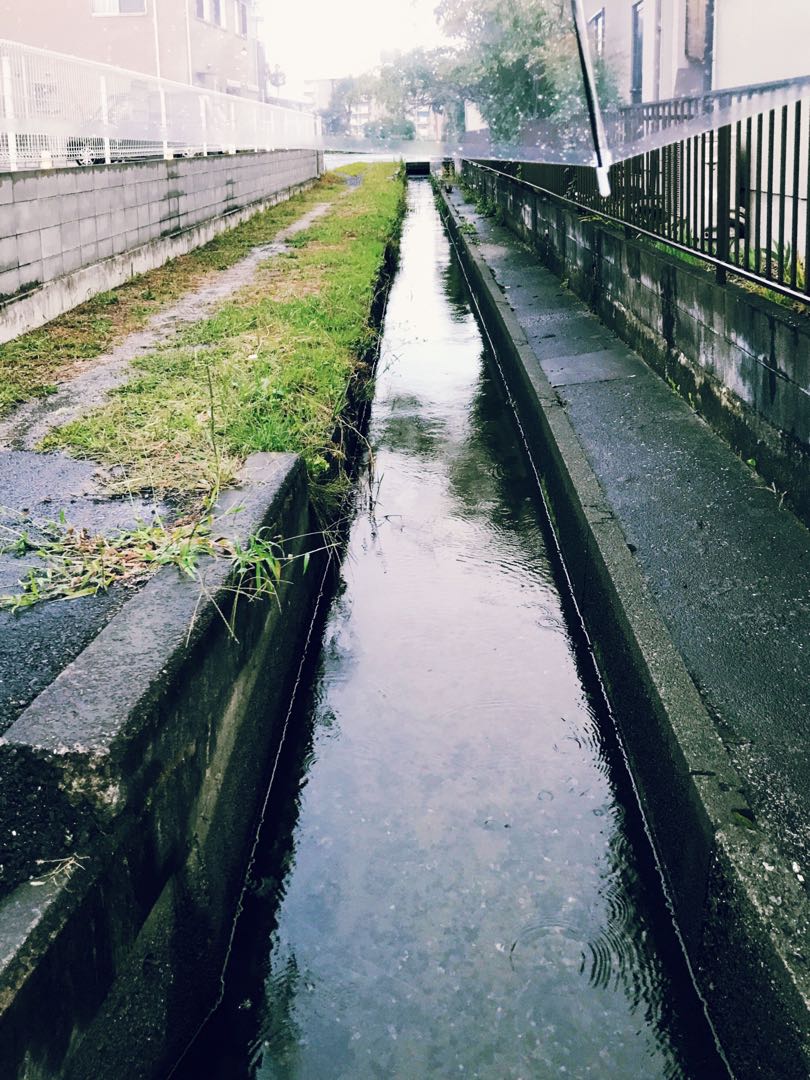 からやん様専用ページ