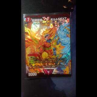 モルトNEXT ゴールデンベスト