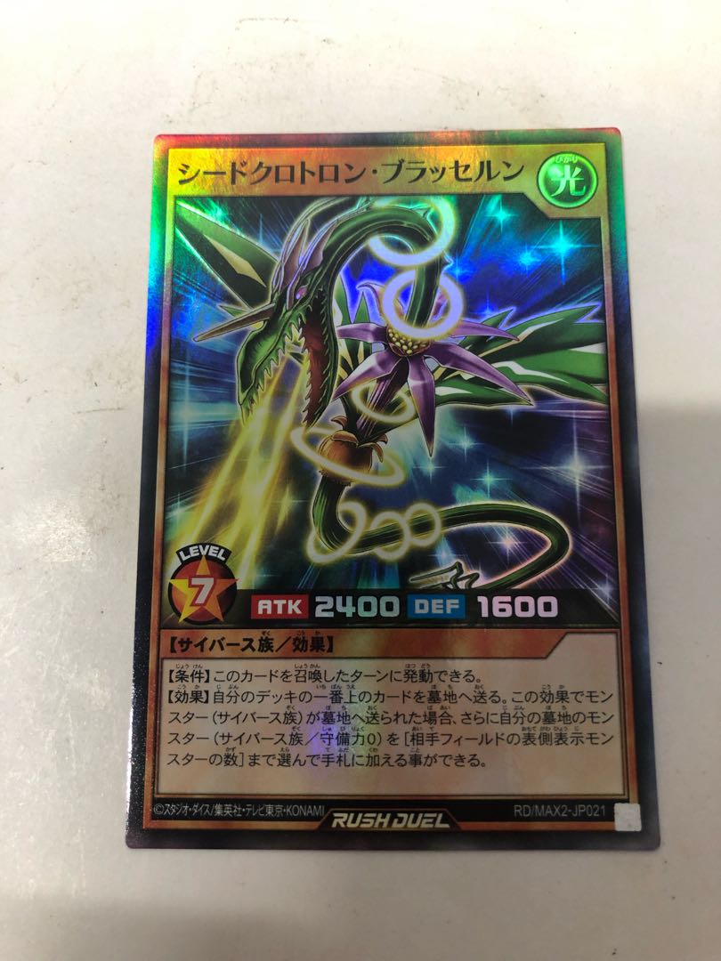 シードクロトロンブラッセルン