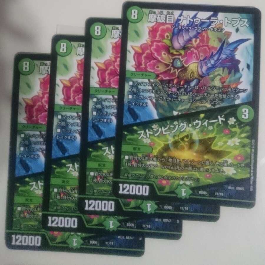 摩破目 ナトゥーラ・トプス|ストンピング・ウィード