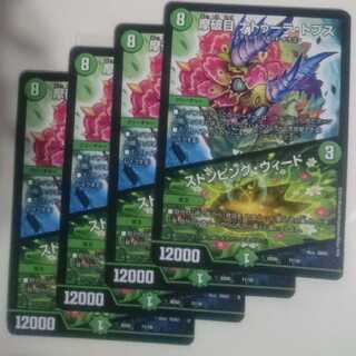 摩破目 ナトゥーラ・トプス｜ストンピング・ウィード