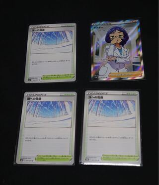 ドクターsr 1枚と頂への雪道3枚