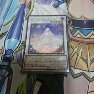 ガーデンローズメイデン