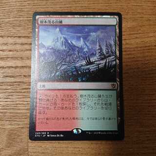 MTG レア 樹木茂る山麓