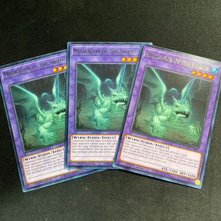 沼地のドロゴン　英語　3枚