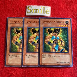 アマゾネスの格闘戦士#2418