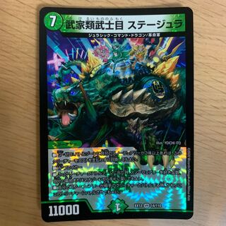 武家類武士目 ステージュラ　ま