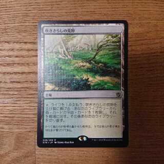 MTG レア 吹きさらしの荒野