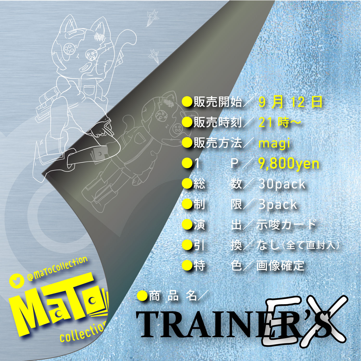 完売御礼！【確認用】「TRAINER'S EX」オリパ