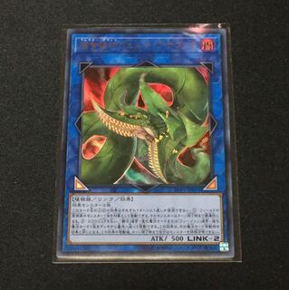 捕食植物ヴェルテ・アナコンダ ウルトラ