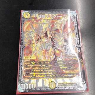 煌龍 サッヴァーク 1枚