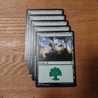 MTG Basic Land Forest