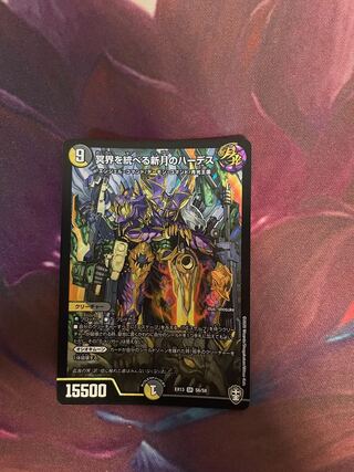 まりも様専用 冥界を統べる新月のハーデス