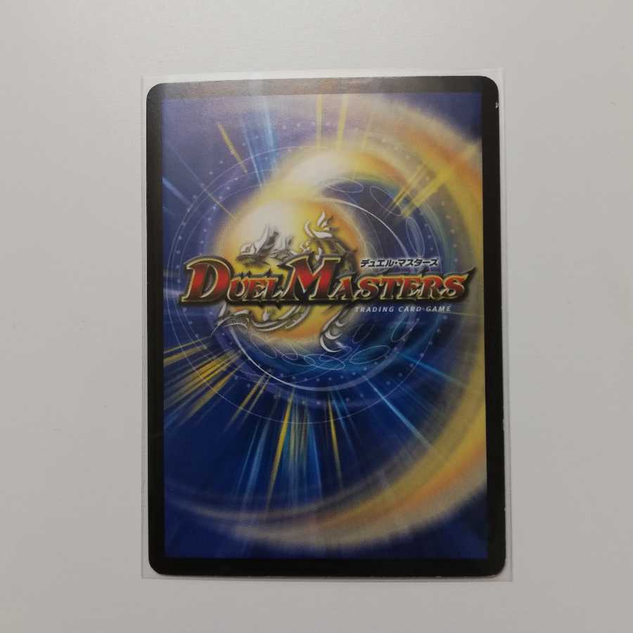 蒼龍の大地 傷あり