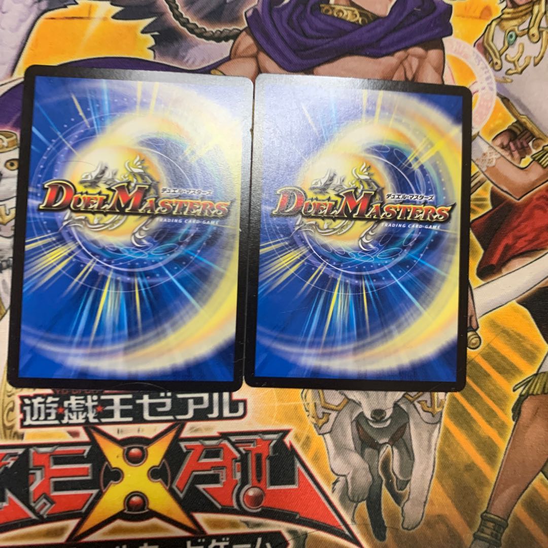 有象夢造2枚セット