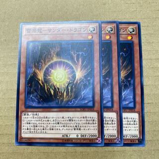 雷源龍-サンダー・ドラゴン　３枚