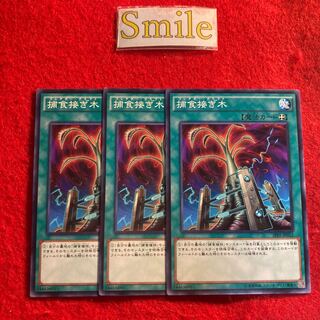 捕食接ぎ木#2469