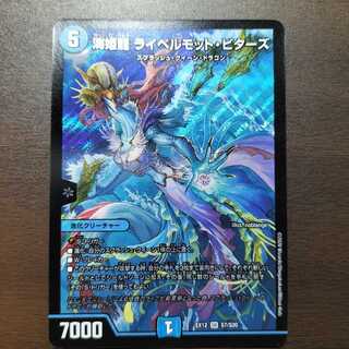 Umi Hime Ryu Rai Bianca Mott Bitters