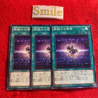 超戦士の萌芽#2489