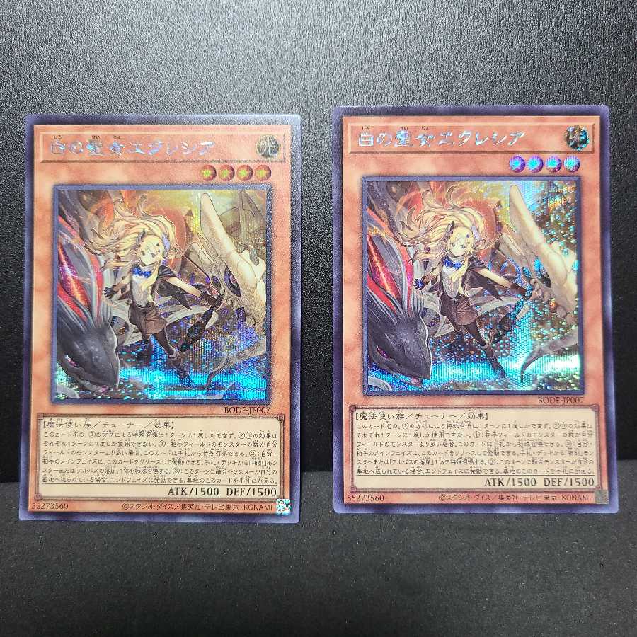 Secret] Incredible Ecclesia, the Virtuous