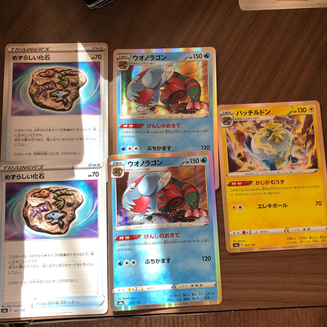 Rare Fossil Dracovish Arctozolt