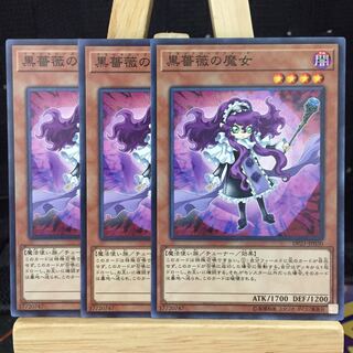 遊戯王【黒薔薇の魔女】N