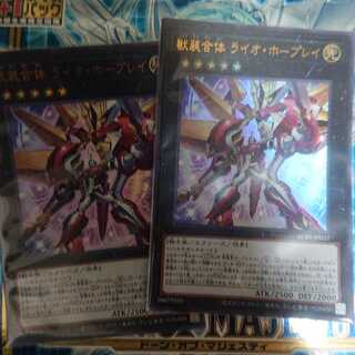 獣装合体 ライオ・ホープレイ二枚