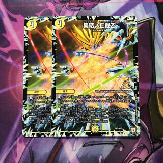 集結の正裁Z ２枚