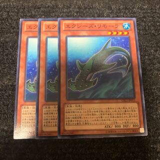 エクシーズ・リモーラ ノーマル