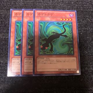 カゲトカゲ ノーマル