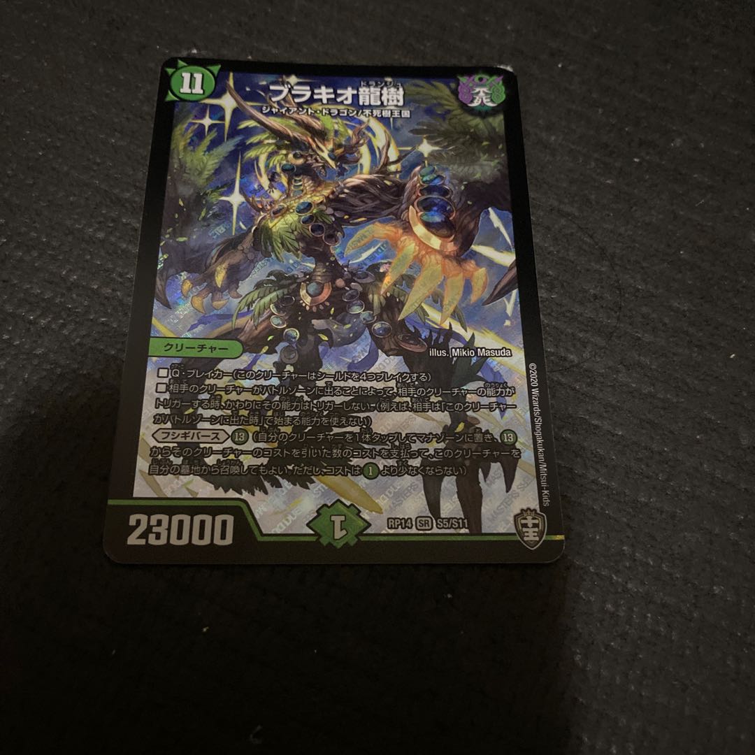 ブラキオ龍樹　翌日発送