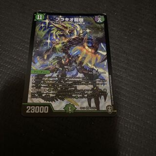 ブラキオ龍樹　翌日発送