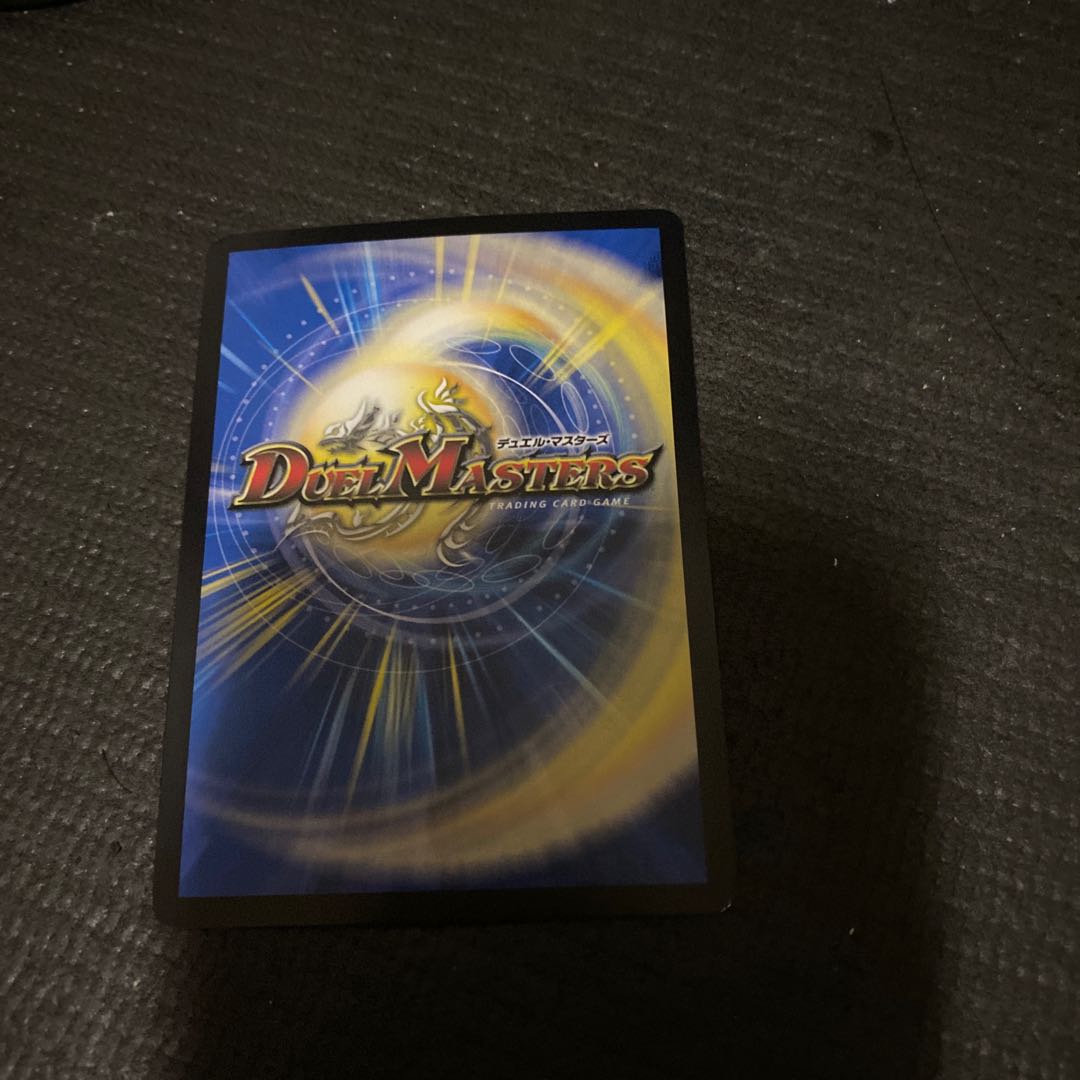 ブラキオ龍樹　翌日発送