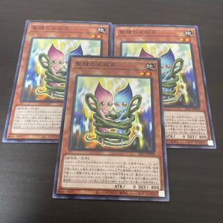 聖種の天双芽 ノーマル