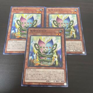 聖種の天双芽 ノーマル