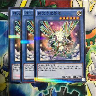 神光の宣告者　3枚