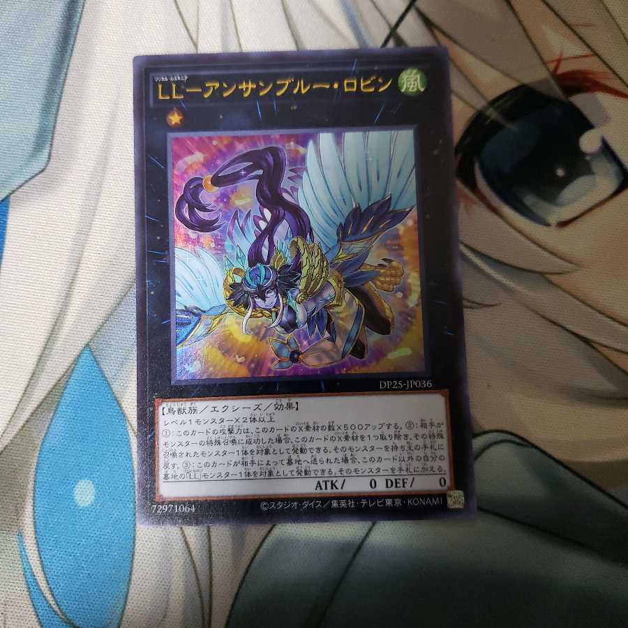 LL-アンサンブルー・ロビン