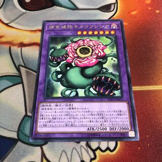 捕食植物キメラフレシア レア