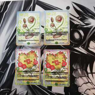 ワイラビ２枚とアネモ２枚