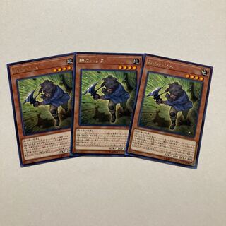 鉄のハンス レア